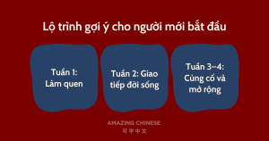 Lộ trình gợi ý cho người mới bắt đầu